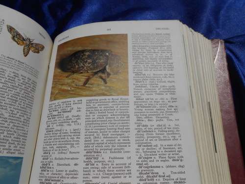 1976  `The New Oxford Dictionary`  2 Volumes. Hard cover.