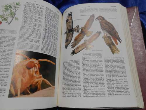 1976  `The New Oxford Dictionary`  2 Volumes. Hard cover.