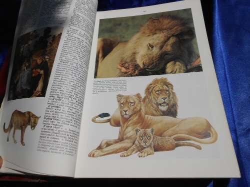 1976  `The New Oxford Dictionary`  2 Volumes. Hard cover.