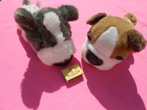 Dogs from The Dog Collection