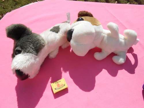 Dogs from The Dog Collection