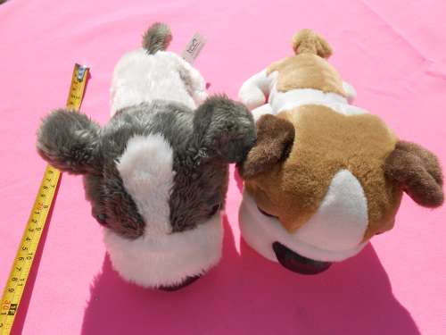 Dogs from The Dog Collection