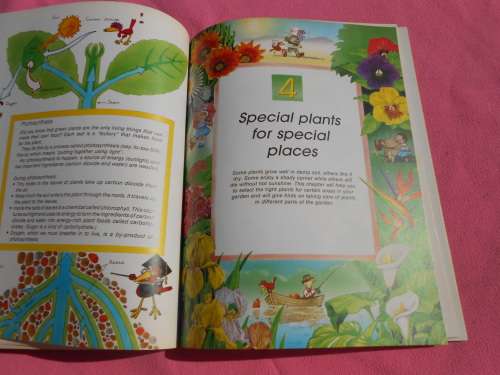 `Gardening is Fun`  Lynn Hurry & Keith Kirsten.  Soft cover.