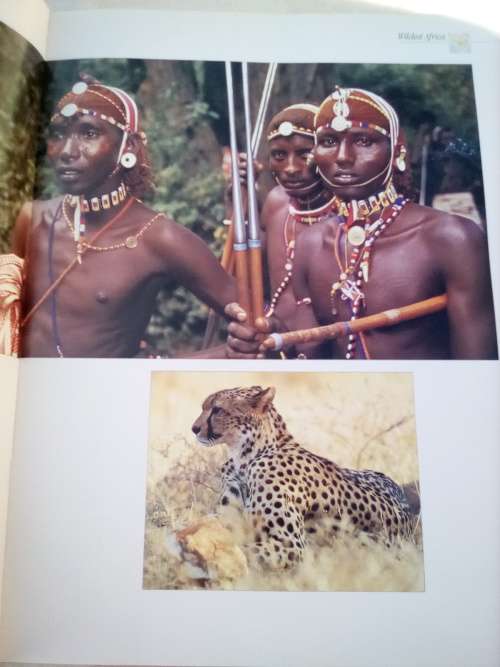 `Wildest Africa`  Paul Tingay.  Hard cover.