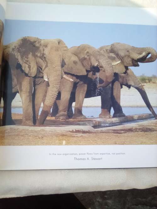 `Wildest Africa`  Paul Tingay.  Hard cover.