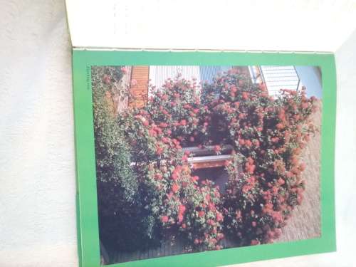`Wildest Africa`  Paul Tingay.  Hard cover.