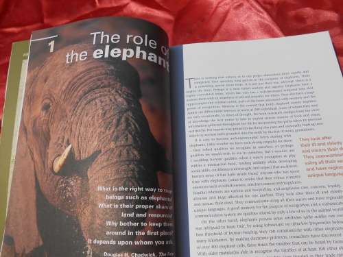 `Shaping Kruger` Mitch Reardon. Soft cover.