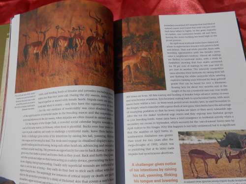 `Shaping Kruger` Mitch Reardon. Soft cover.