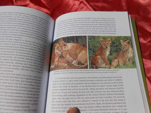 `Shaping Kruger` Mitch Reardon. Soft cover.
