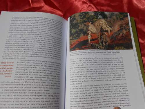 `Shaping Kruger` Mitch Reardon. Soft cover.