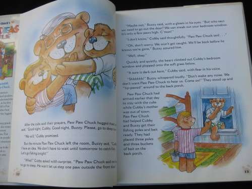 `Paw Paw Chuck`s Big Ideas in the Bible`  Charles R. Swindoll.  Hard cover.