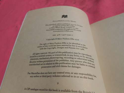 `The Other Mrs. Walker`  Mary Paulson-Ellis.  Soft cover.