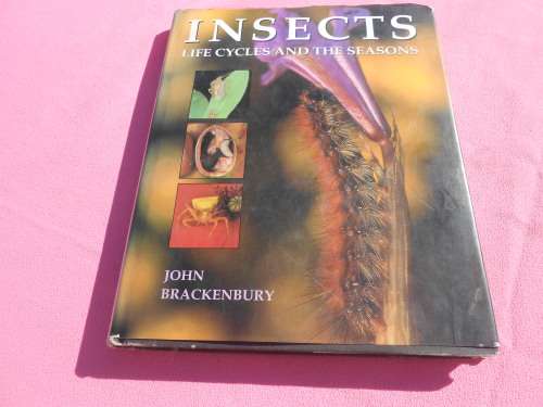 `Insects`  Life Cycles and the Seasons.  John Brackenbury.  Hard cover.