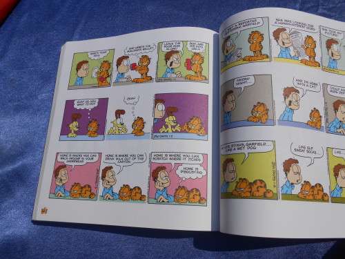 `Garfield Fat Cat 3 Pack`  Soft cover.