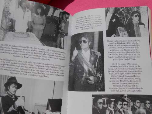 `Michael Jackson` The Magic and the Madness.  J. Randy Taraborrelli.  Soft cover.