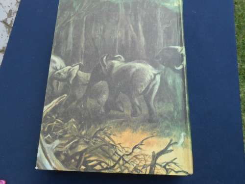 `Valley of the Ironwoods` Allan Wright.  Hard cover.