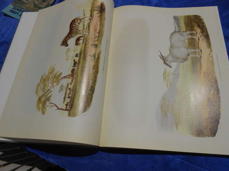 `Portraits of the Game and Wild Animals of Southern Africa.  Hard cover.