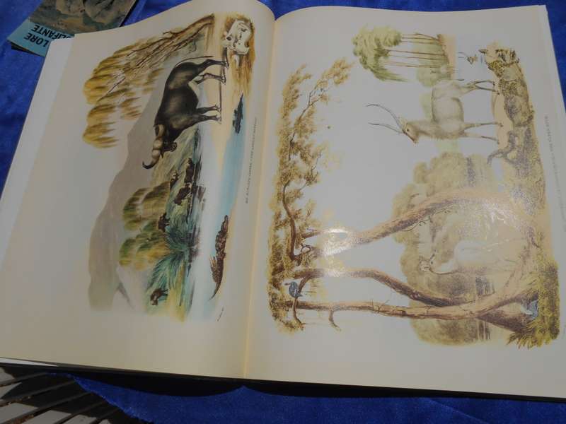 `Portraits of the Game and Wild Animals of Southern Africa.  Hard cover.