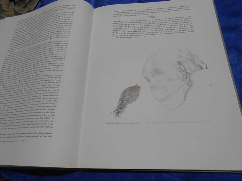 `Portraits of the Game and Wild Animals of Southern Africa.  Hard cover.