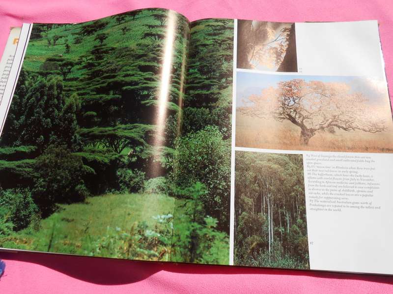 `Rhodesian Legacy` Hard cover.
