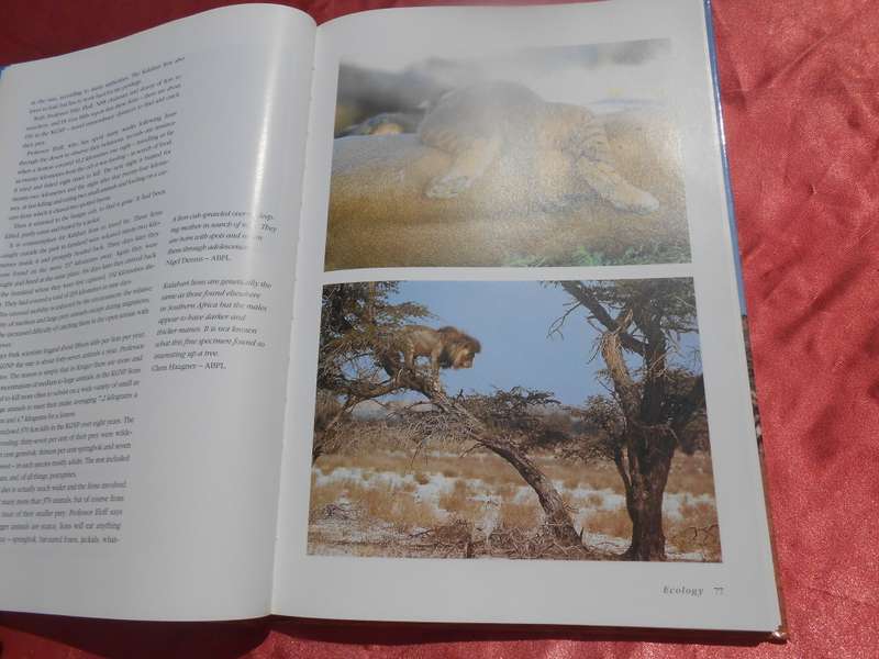 `The Crowded Desert`  The Kalahari Gemsbok Park.  Wilf Nussey.  Hard cover.