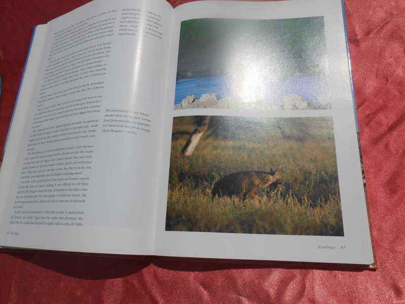 `The Crowded Desert`  The Kalahari Gemsbok Park.  Wilf Nussey.  Hard cover.
