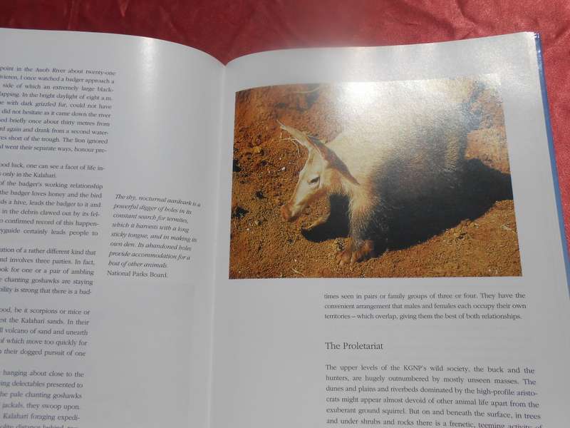 `The Crowded Desert`  The Kalahari Gemsbok Park.  Wilf Nussey.  Hard cover.