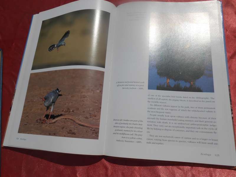 `The Crowded Desert`  The Kalahari Gemsbok Park.  Wilf Nussey.  Hard cover.