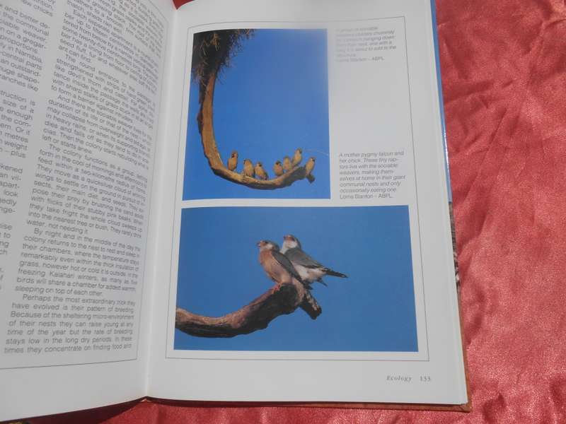`The Crowded Desert`  The Kalahari Gemsbok Park.  Wilf Nussey.  Hard cover.