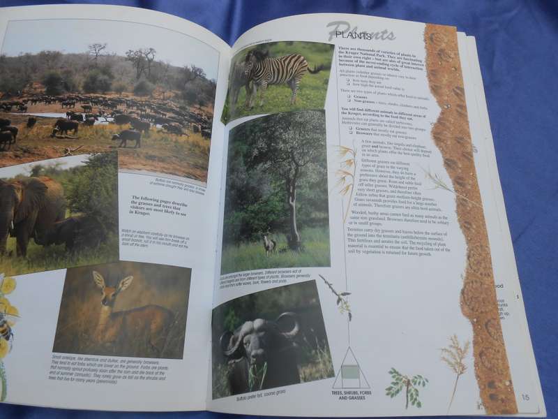`Find it`   2001.  Kruger National Park.  Soft cover.
