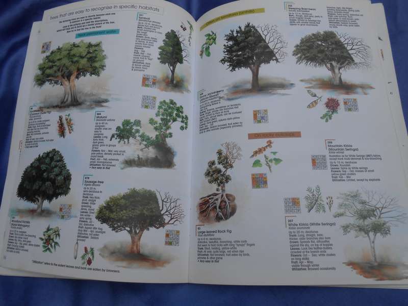 `Find it`   2001.  Kruger National Park.  Soft cover.