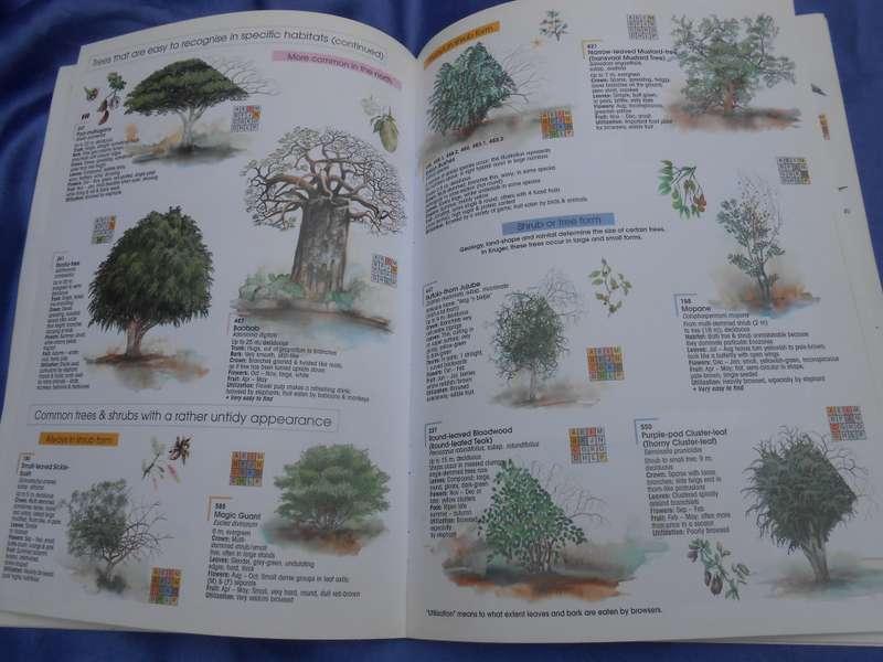 `Find it`   2001.  Kruger National Park.  Soft cover.