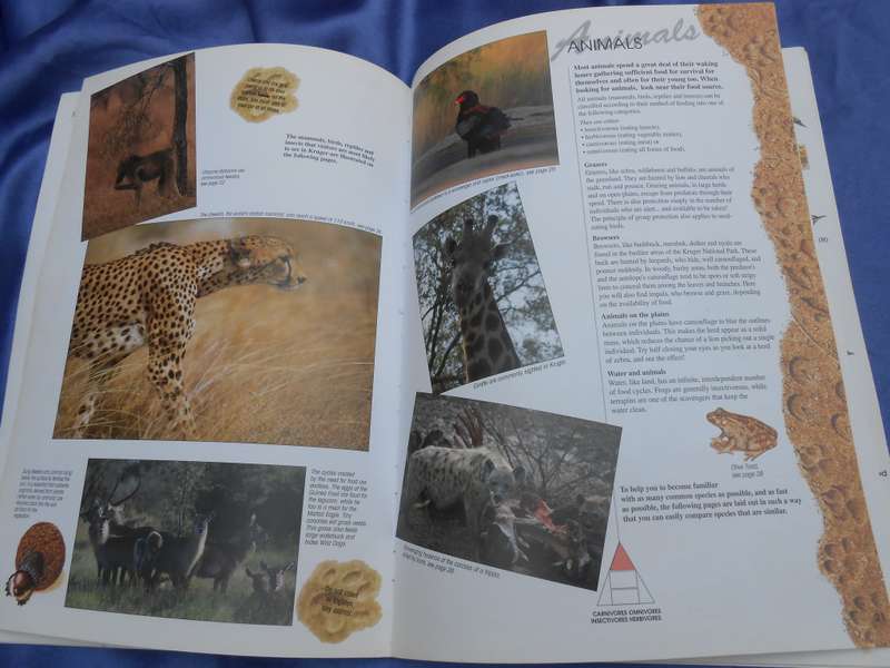 `Find it`   2001.  Kruger National Park.  Soft cover.