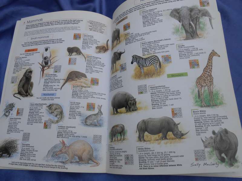 `Find it`   2001.  Kruger National Park.  Soft cover.