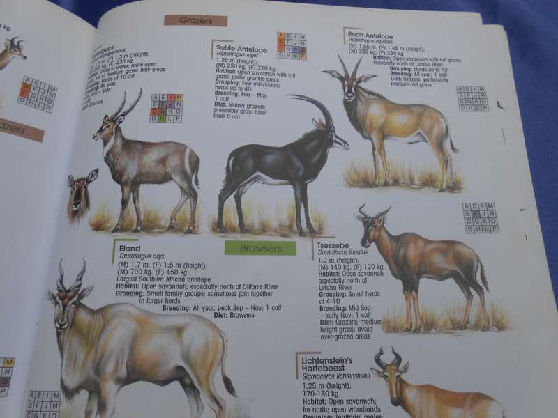`Find it`   2001.  Kruger National Park.  Soft cover.