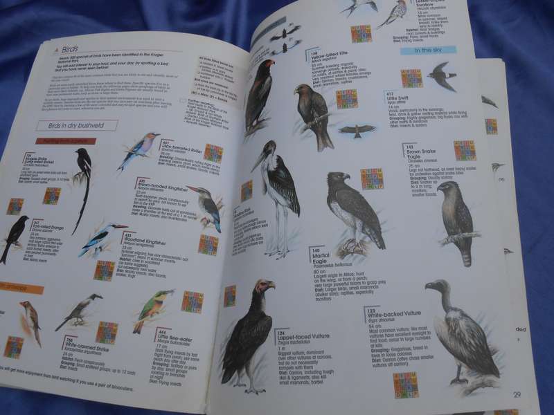 `Find it`   2001.  Kruger National Park.  Soft cover.