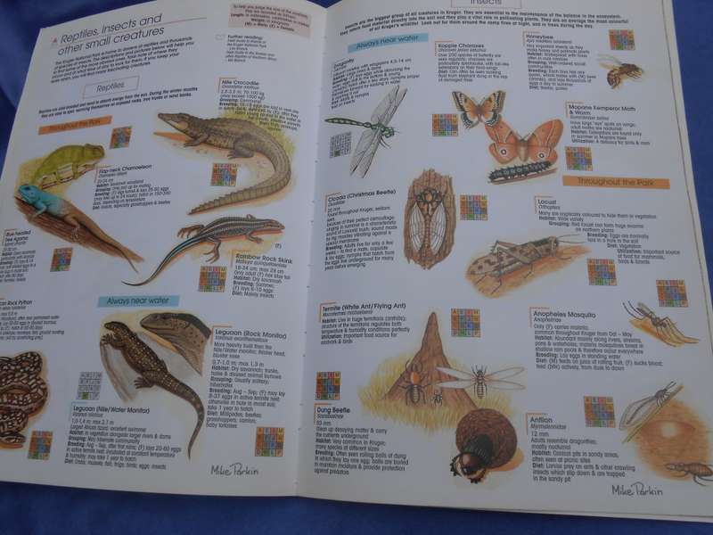 `Find it`   2001.  Kruger National Park.  Soft cover.