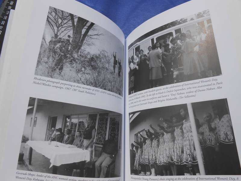 `The Lusaka Years.  ANC in Excile in Zambia 1963-1994`  Hugh McMillan.  Soft cover