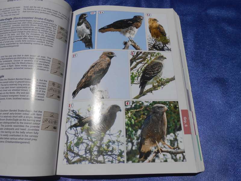 `The Bird Guide of Southern Africa`  Soft cover.