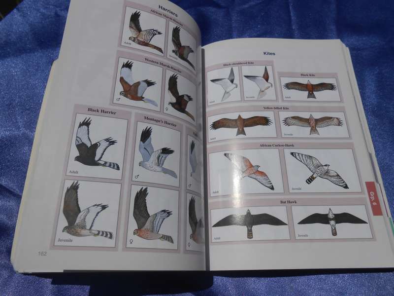 `The Bird Guide of Southern Africa`  Soft cover.