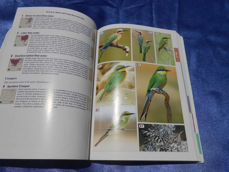 `The Bird Guide of Southern Africa`  Soft cover.
