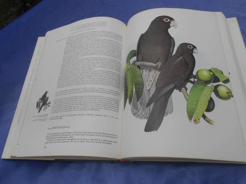 `Parrots of the World`  Third Edition.  Hard cover.  J.M. Forshaw.  A heavy book.
