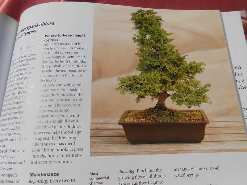 `Bonsai. A care Manual`  Hard cover.