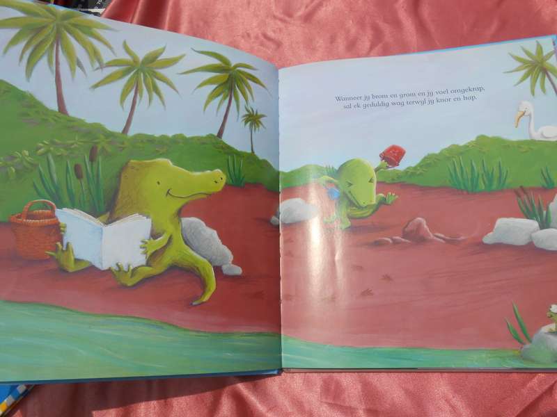 `Ek sal jou styf vashou`  Smriti Prasadam-Halls & Alison Brown.  Hardcover.