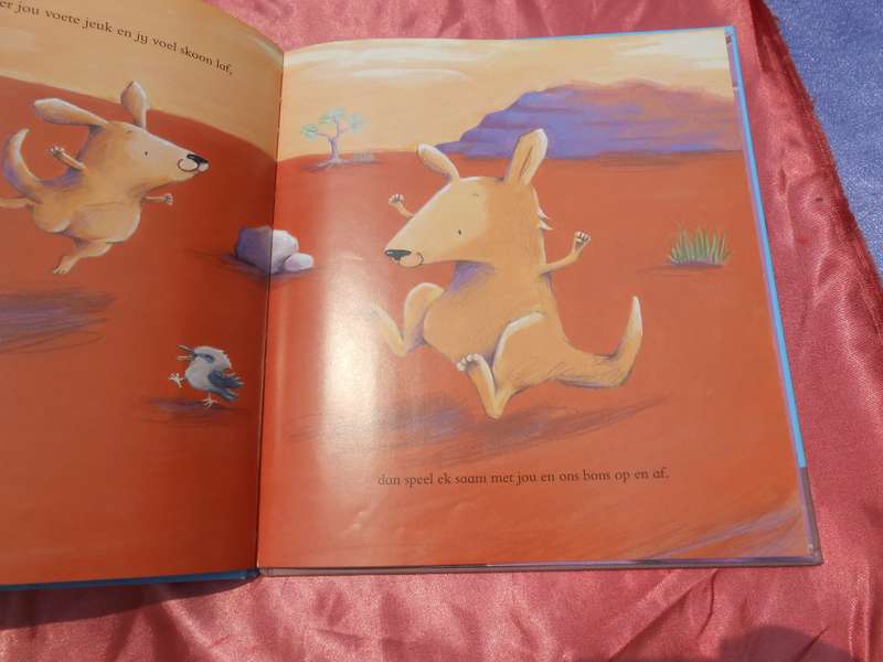 `Ek sal jou styf vashou`  Smriti Prasadam-Halls & Alison Brown.  Hardcover.