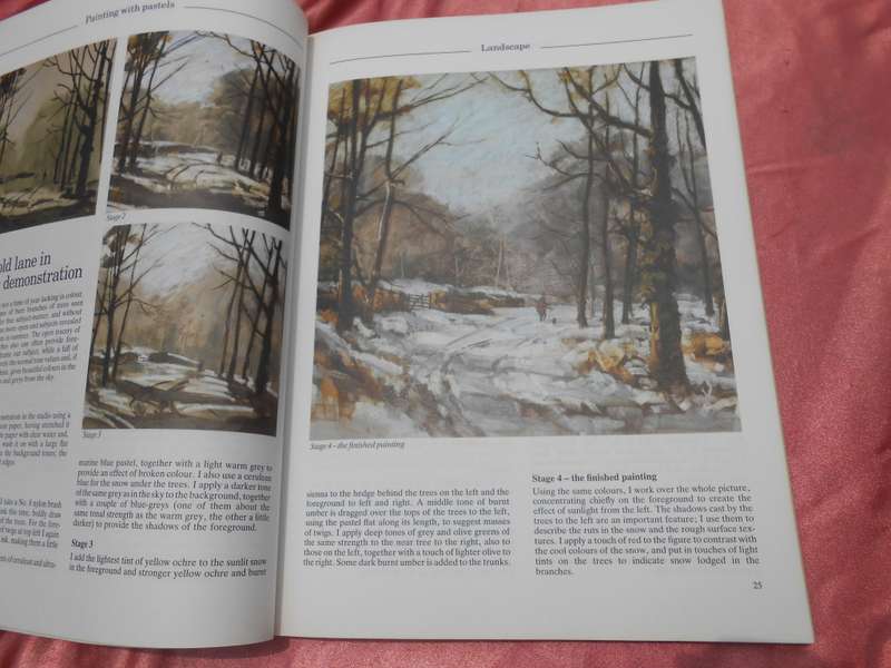 `Painting with Pastels`  Peter D. Johnson.  Soft cover.
