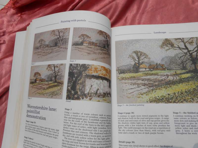 `Painting with Pastels`  Peter D. Johnson.  Soft cover.