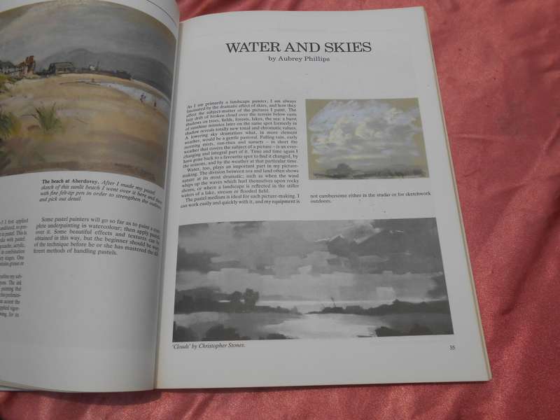 `Painting with Pastels`  Peter D. Johnson.  Soft cover.