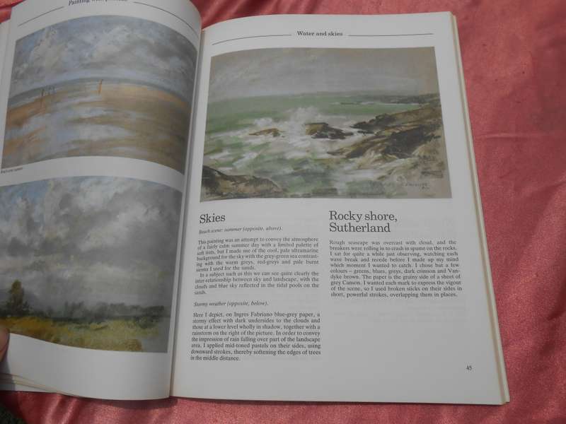 `Painting with Pastels`  Peter D. Johnson.  Soft cover.
