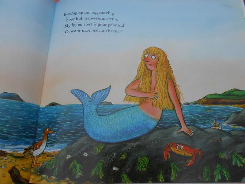 `Zok en die Vlieende Dokters:  Axel Scheffer, Julia Donaldson.  Hard cover.